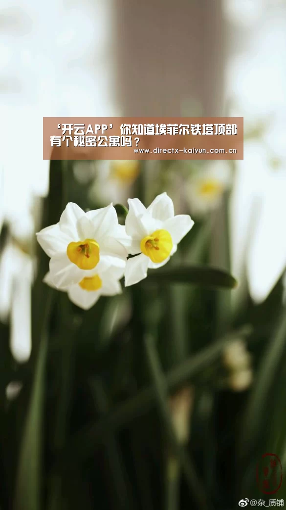 ‘开云APP’你知道埃菲尔铁塔顶部有个秘密公寓吗?(图1) 开元棋牌app