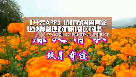【开云APP】试析我国国有企业预算管理激励机制的构建(图1) 开云APP