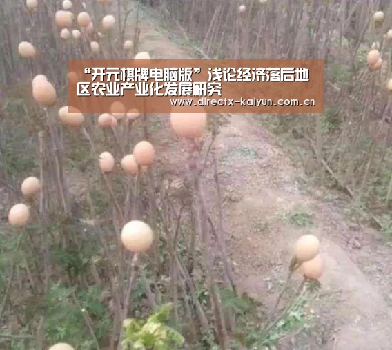 “开元棋牌电脑版”浅论经济落后地区农业产业化发展研究(图1) 开元棋牌app