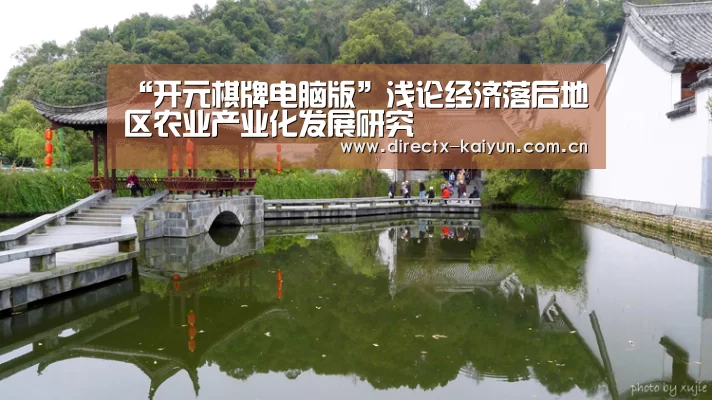 “开元棋牌电脑版”浅论经济落后地区农业产业化发展研究(图2) 开元棋牌官网