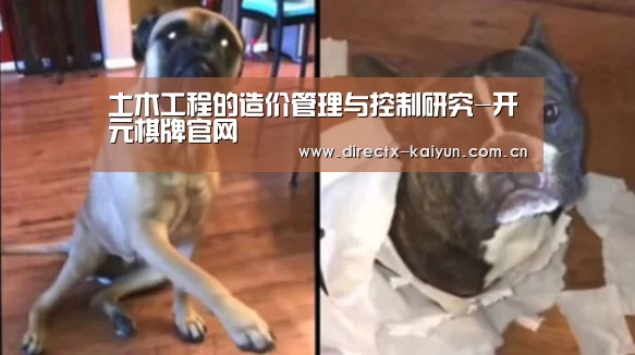 开元棋牌电脑版