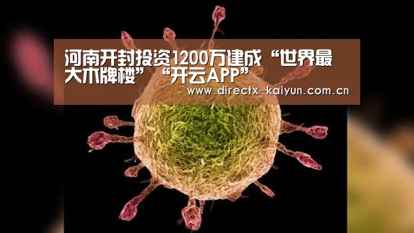 河南开封投资1200万建成“世界最大木牌楼”“开云APP”(图4) 开元棋牌电脑版
