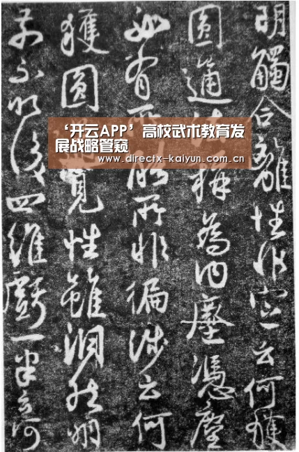 ‘开云APP’高校武术教育发展战略管窥(图2) 开云APP