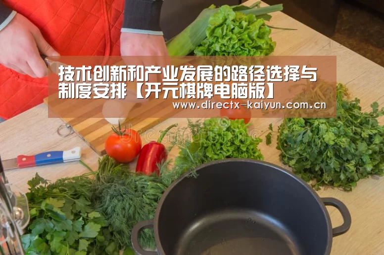 技术创新和产业发展的路径选择与制度安排【开元棋牌电脑版】(图1) 开云APP