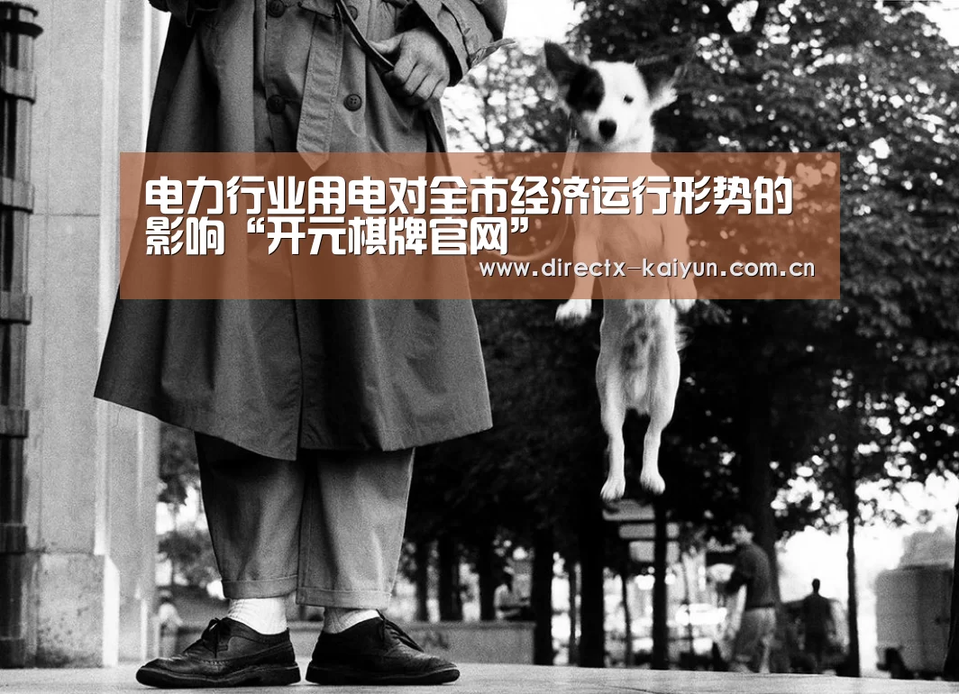 电力行业用电对全市经济运行形势的影响“开元棋牌官网”(图3) 开云APP